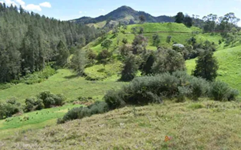 Lote en venta en El Chuscal, El Retiro, 76000 m² · foto 5 de 12