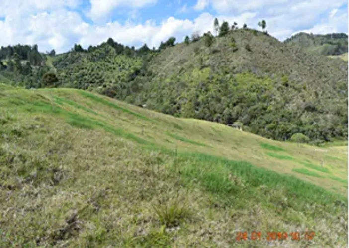 Lote en venta en El Chuscal, El Retiro, 76000 m² · foto 6 de 12