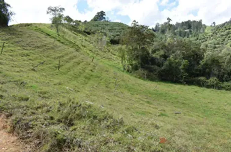 Lote en venta en El Chuscal, El Retiro, 76000 m² · foto 9 de 12