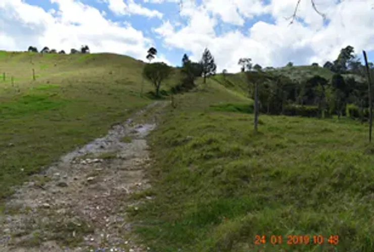 Lote en venta en El Chuscal, El Retiro, 76000 m² · foto 10 de 12