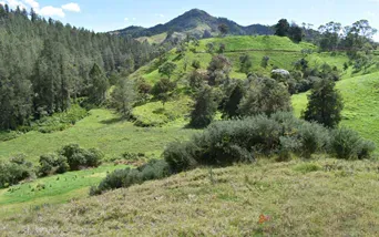 Lote en venta en El Chuscal, El Retiro, 76000 m² · foto 11 de 12