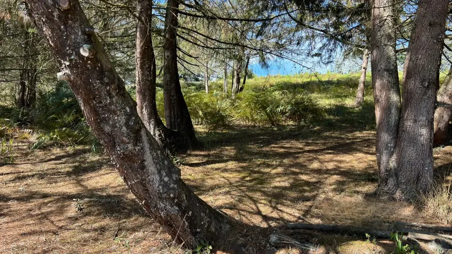Lote en venta en Guamito, La Ceja, 5200 m² · foto 2 de 13