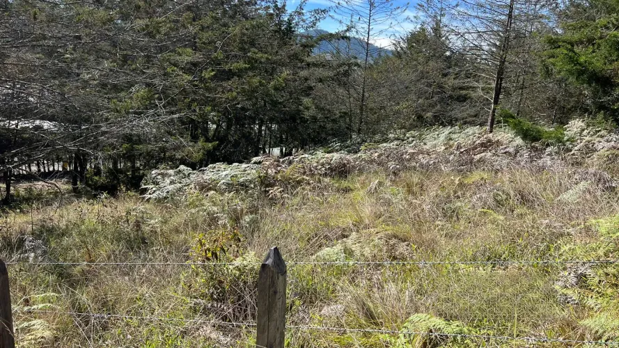 Lote en venta en Guamito, La Ceja, 5200 m² · foto 3 de 13