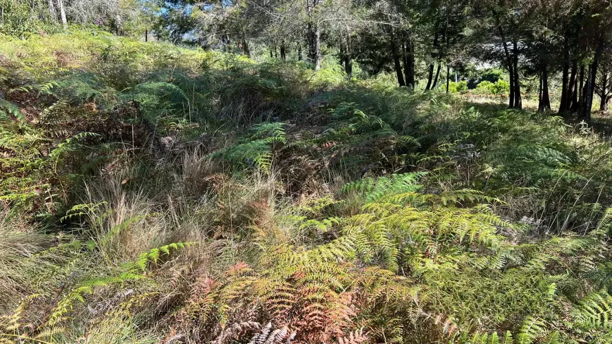 Lote en venta en Guamito, La Ceja, 5200 m² · foto 4 de 13