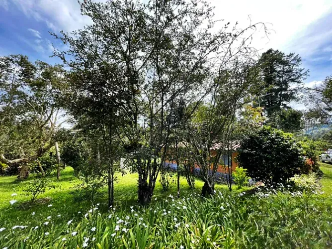 Lote en venta en Zona Centro, Envigado, 30000 m² · foto 2 de 12