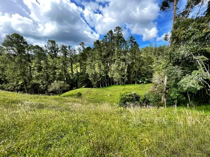Lote en venta en Zona Centro, Envigado, 30000 m² · foto 3 de 12