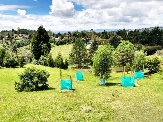Lote en venta en El Zango, Guarne, 10450 m² · foto 4 de 10