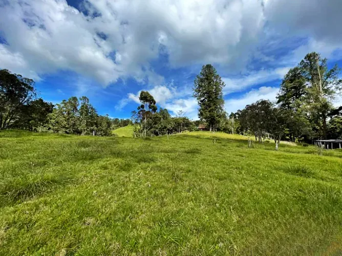 Lote en venta en Zona Centro, Envigado, 30000 m² · foto 4 de 12