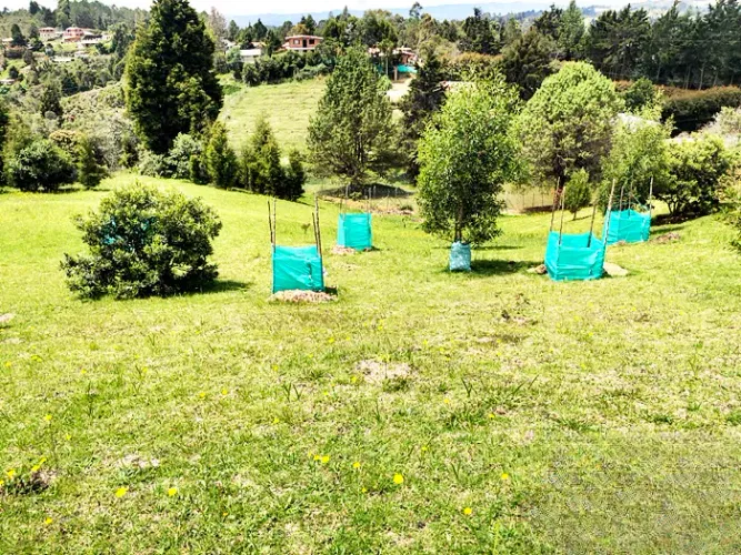 Lote en venta en El Zango, Guarne, 10450 m² · foto 9 de 10