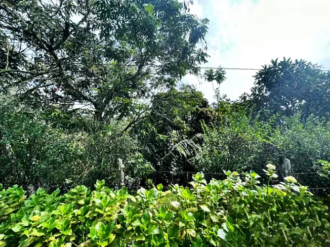 Lote en venta en Zona Centro, Envigado, 30000 m² · foto 11 de 12