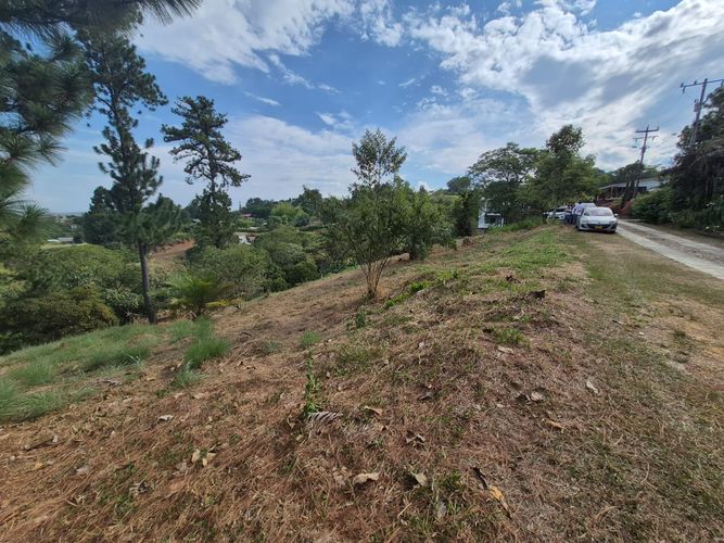 Lote en venta en Porerito, Jamundí, 3009 m² · foto 5 de 20