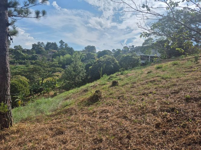 Lote en venta en Porerito, Jamundí, 3009 m² · foto 6 de 20