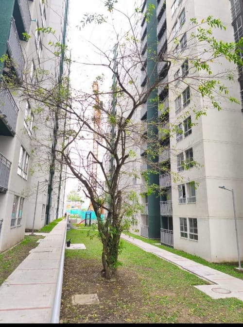 Apartamento de 3 alcobas en venta en Picaleña Y Mirolindo, Ibagué, 61 m² · foto 3 de 10