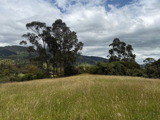 Lote en venta en San Jose De La Concepcion, La Calera, 12800 m² · foto 6 de 24