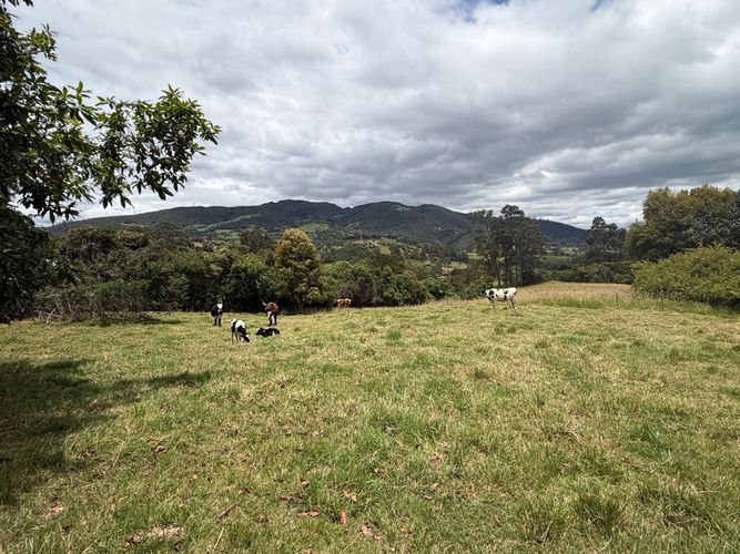 Lote en venta en San Jose De La Concepcion, La Calera, 12800 m² · foto 4 de 24