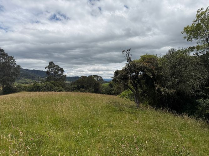 Lote en venta en San Jose De La Concepcion, La Calera, 12800 m² · foto 7 de 24