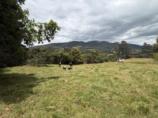 Lote en venta en San Jose De La Concepcion, La Calera, 12800 m² · foto 5 de 24