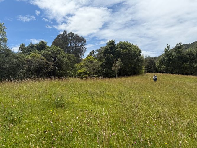 Lote en venta en San Jose De La Concepcion, La Calera, 12800 m² · foto 8 de 24