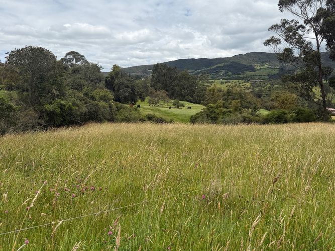 Lote en venta en San Jose De La Concepcion, La Calera, 12800 m² · foto 11 de 24