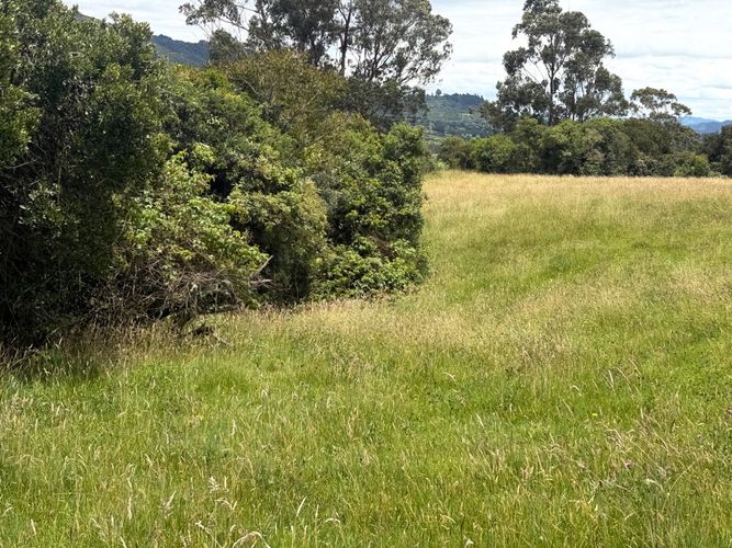 Lote en venta en San Jose De La Concepcion, La Calera, 12800 m² · foto 17 de 24