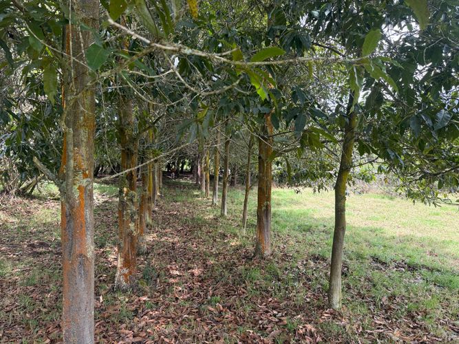 Lote en venta en San Jose De La Concepcion, La Calera, 12800 m² · foto 18 de 24