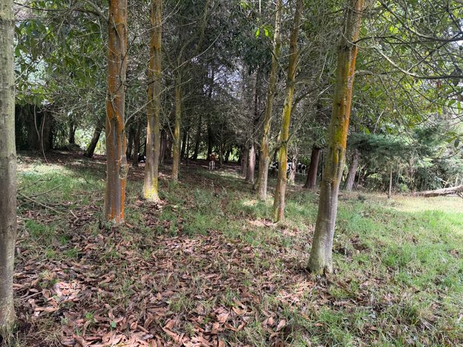 Lote en venta en San Jose De La Concepcion, La Calera, 12800 m² · foto 22 de 24
