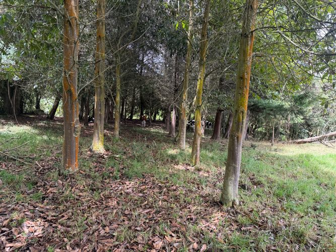 Lote en venta en San Jose De La Concepcion, La Calera, 12800 m² · foto 23 de 24