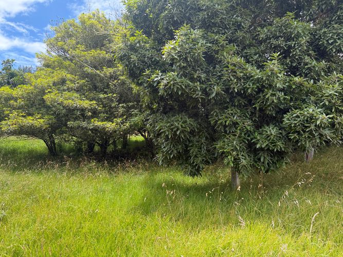 Lote en venta en San Jose De La Concepcion, La Calera, 12800 m² · foto 24 de 24
