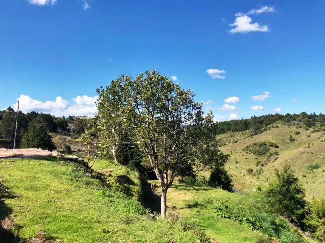 Lote en venta en Playa Rica-Rancheria, Rionegro, 25000 m² · foto 4 de 17