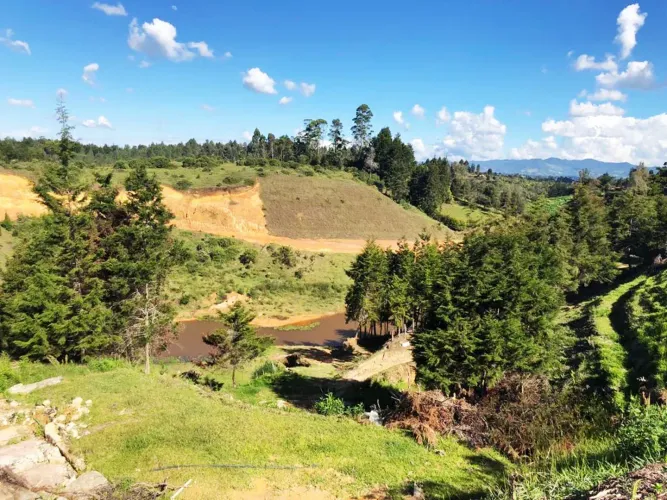 Lote en venta en Playa Rica-Rancheria, Rionegro, 25000 m² · foto 7 de 17