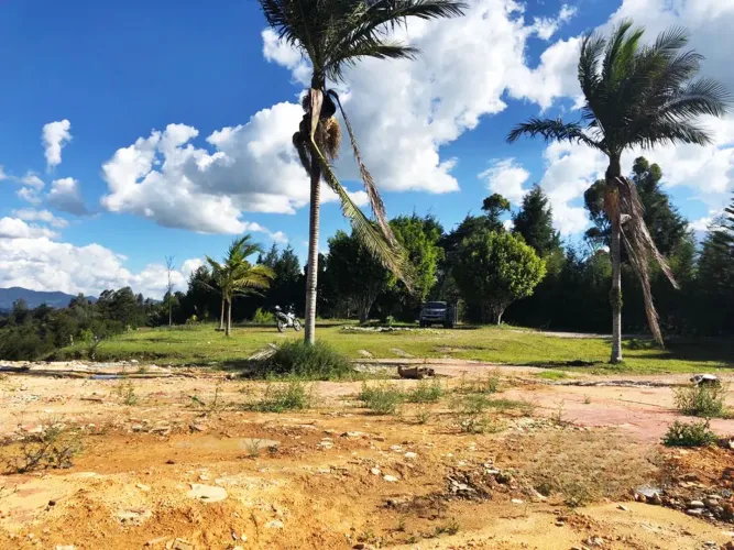 Lote en venta en Playa Rica-Rancheria, Rionegro, 25000 m² · foto 8 de 17