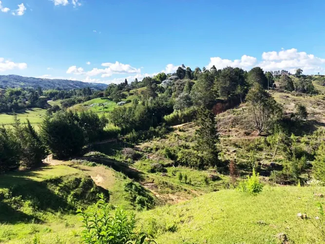 Lote en venta en Playa Rica-Rancheria, Rionegro, 25000 m² · foto 12 de 17