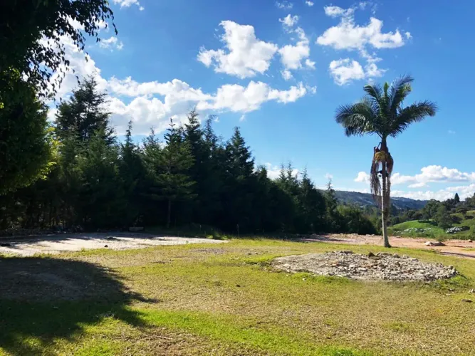 Lote en venta en Playa Rica-Rancheria, Rionegro, 25000 m² · foto 13 de 17