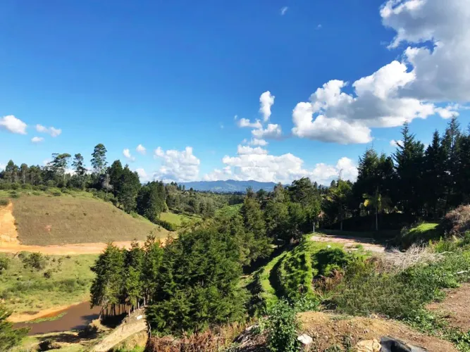 Lote en venta en Playa Rica-Rancheria, Rionegro, 25000 m² · foto 14 de 17