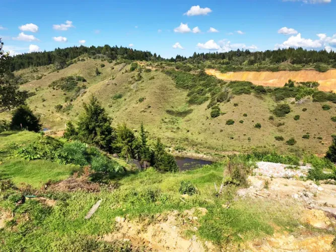 Lote en venta en Playa Rica-Rancheria, Rionegro, 25000 m² · foto 15 de 17