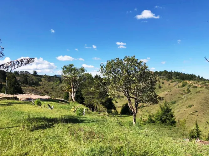 Lote en venta en Playa Rica-Rancheria, Rionegro, 25000 m² · foto 16 de 17