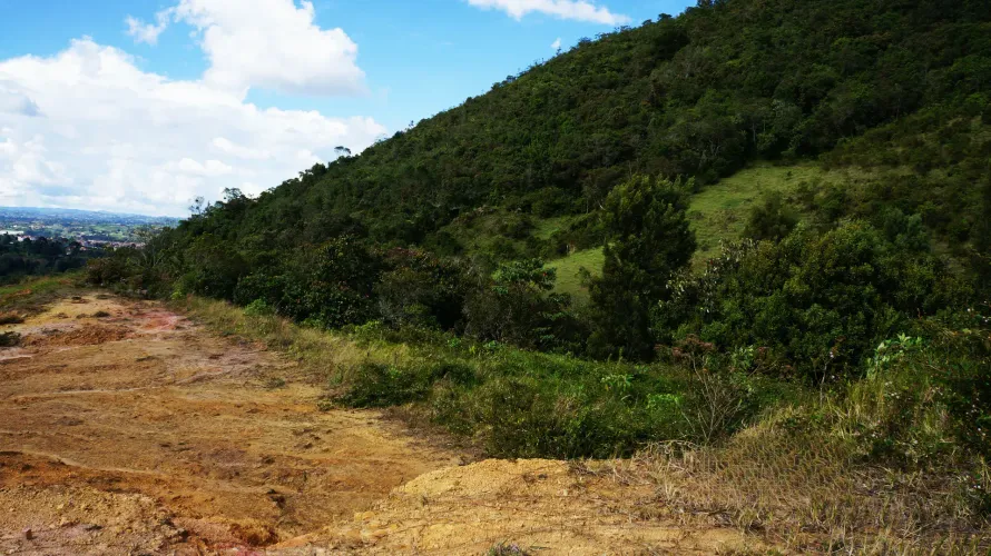Lote en venta en La Sonadora, El Carmen de Viboral, 10000 m² · foto 4 de 9