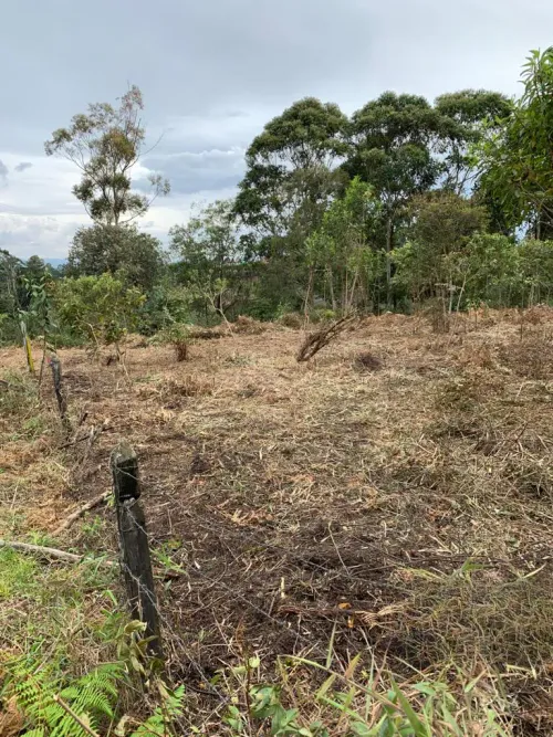 Lote en venta en Los Pinos, Rionegro, 8420 m² · foto 3 de 6