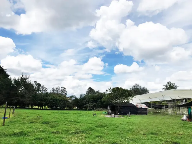 Lote en venta en Llano Grande, Rionegro, 12400 m² · foto 2 de 20