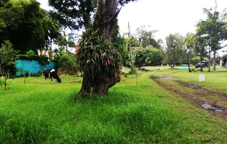 Lote en venta en Llano Grande, Rionegro, 12400 m² · foto 4 de 20
