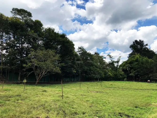 Lote en venta en Llano Grande, Rionegro, 12400 m² · foto 9 de 20