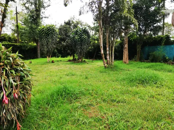 Lote en venta en Llano Grande, Rionegro, 12400 m² · foto 10 de 20