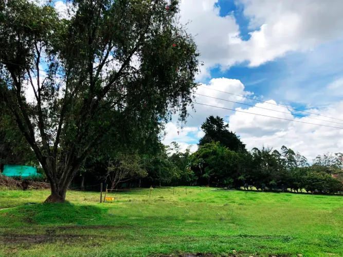 Lote en venta en Llano Grande, Rionegro, 12400 m² · foto 11 de 20