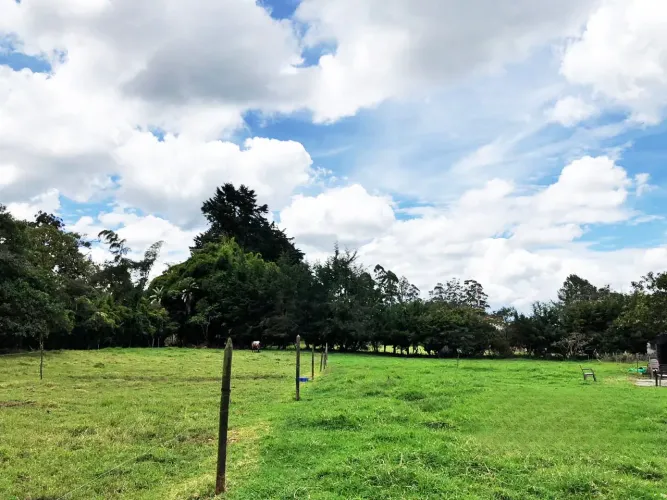 Lote en venta en Llano Grande, Rionegro, 12400 m² · foto 14 de 20