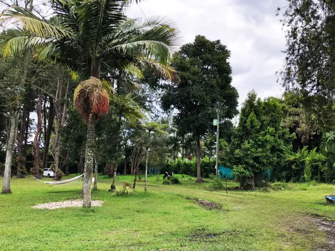 Lote en venta en Llano Grande, Rionegro, 12400 m² · foto 15 de 20