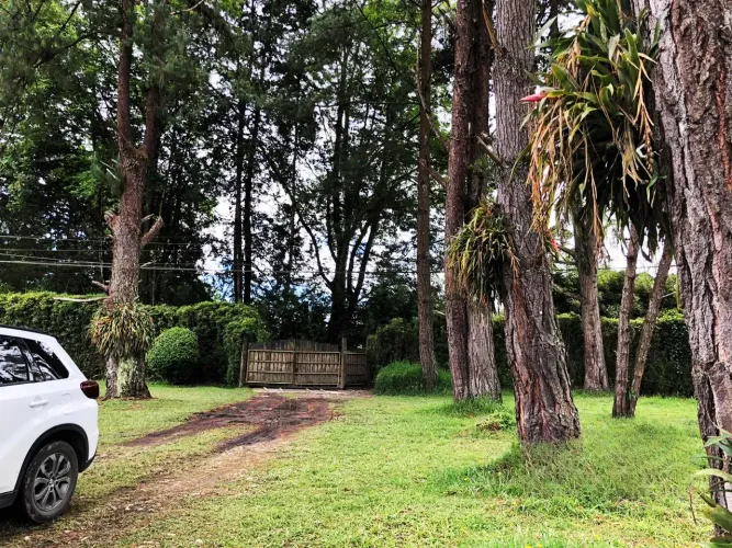 Lote en venta en Llano Grande, Rionegro, 12400 m² · foto 18 de 20