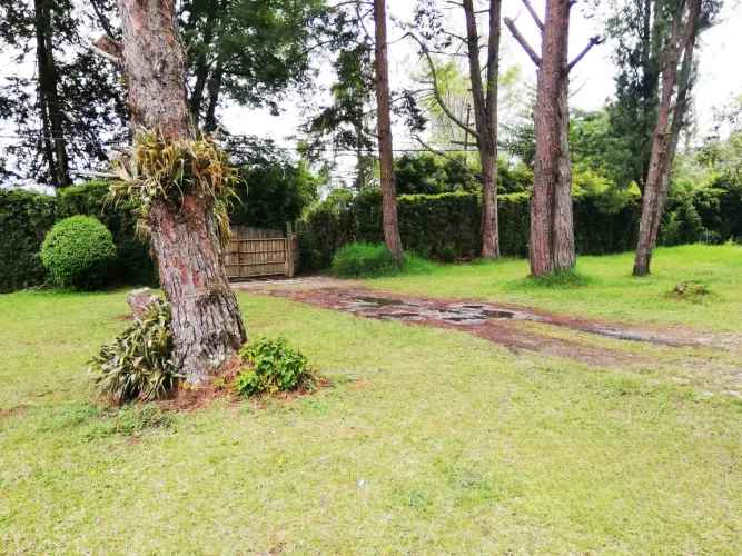 Lote en venta en Llano Grande, Rionegro, 12400 m² · foto 19 de 20