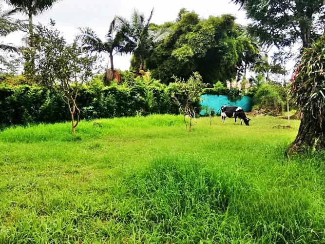 Lote en venta en Llano Grande, Rionegro, 12400 m² · foto 20 de 20