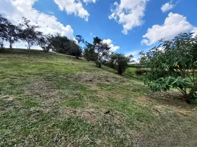 Lote en venta en El Carmen de Viboral, 2739 m² · foto 8 de 10