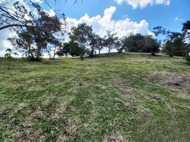 Lote en venta en El Carmen de Viboral, 2739 m² · foto 10 de 10
